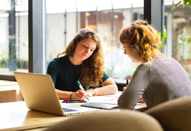 Stocksy dames bijles